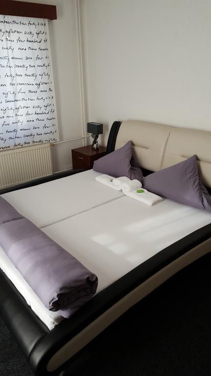 Hotel Excelent Rymarov Ngoại thất bức ảnh